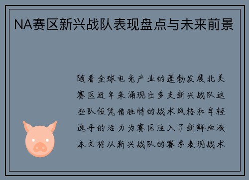 NA赛区新兴战队表现盘点与未来前景